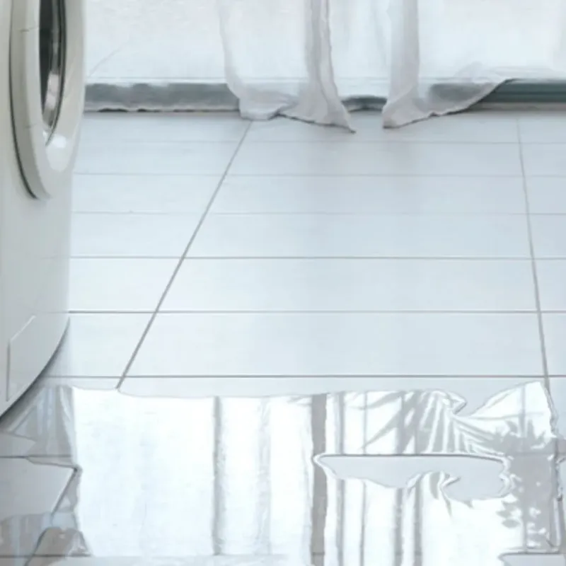 Appliance Leak Cleanup in Denton, NC