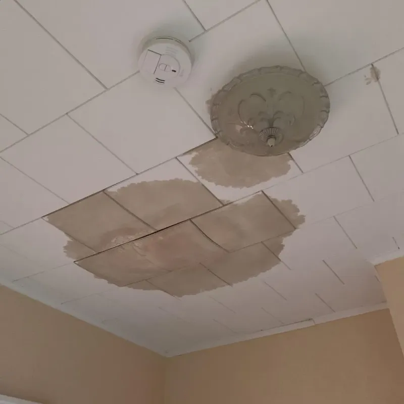 Ceiling Water Damage Repair in Denton, NC