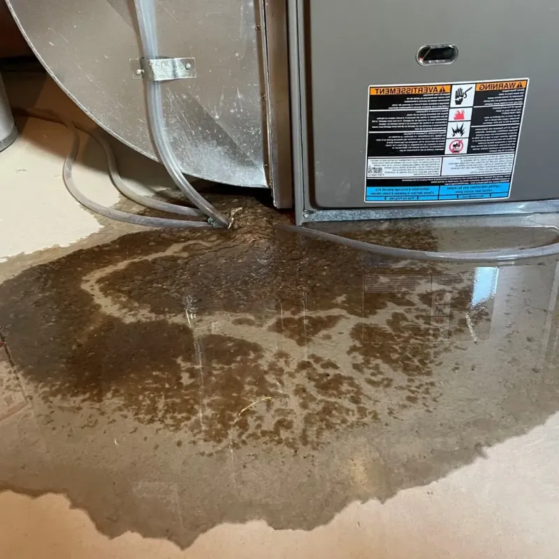 Pipe Burst and Leak Restoration in Denton, NC