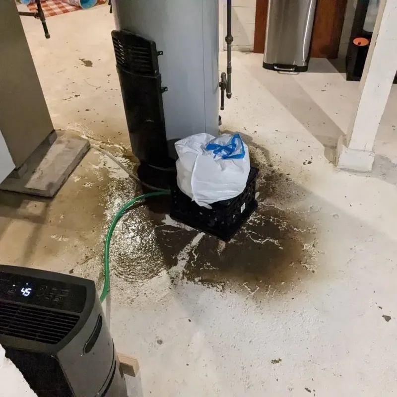 Sewage Backup Cleanup Service in Denton, NC